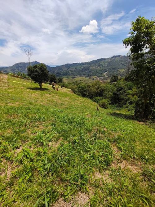 Lote en venta en Combia, Pereira, 2054 m² · foto 6 de 8