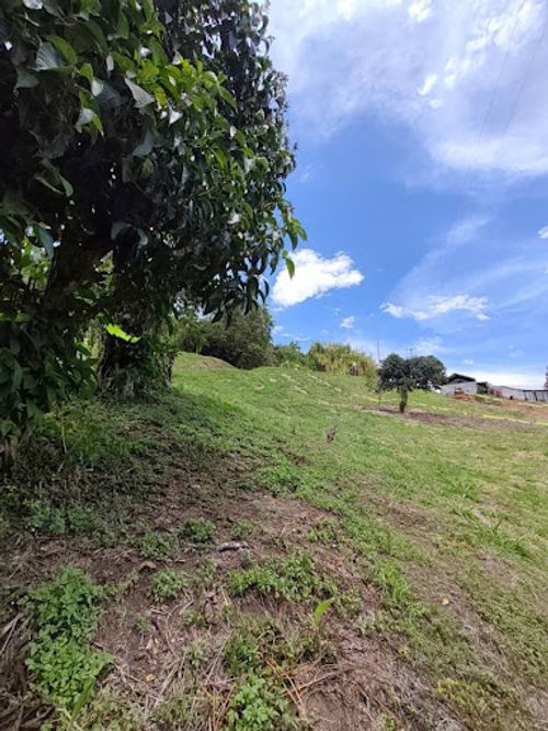 Lote en venta en Combia, Pereira, 2054 m² · foto 7 de 8