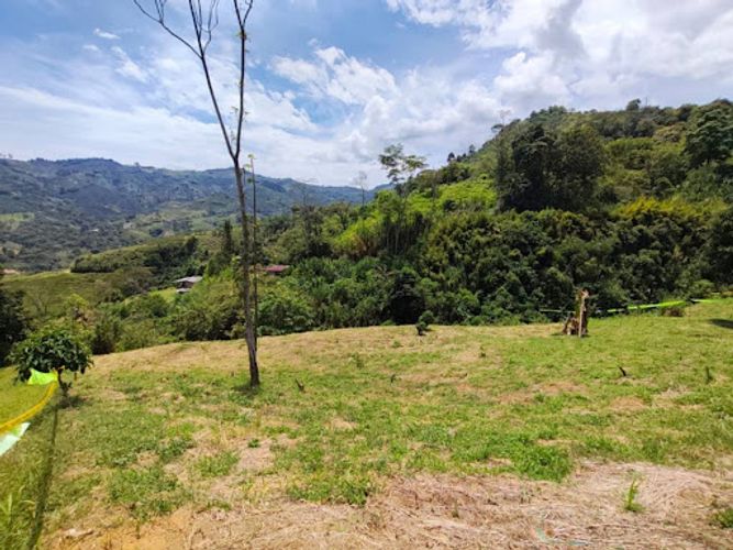 Lote en venta en Combia, Pereira, 2474 m² · foto 4 de 10