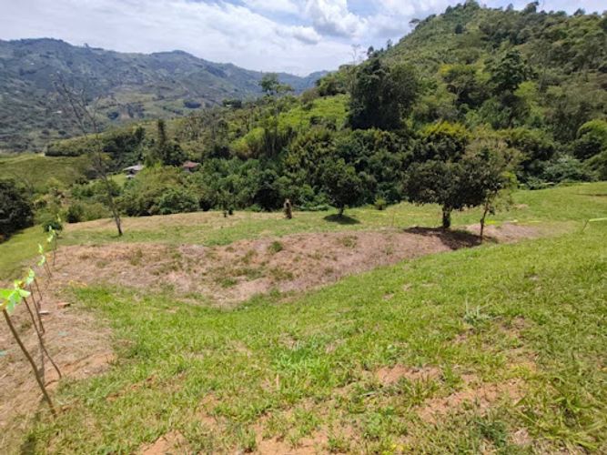 Lote en venta en Combia, Pereira, 2474 m² · foto 5 de 10