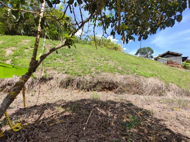 Lote en venta en Combia, Pereira, 2474 m² · foto 6 de 10