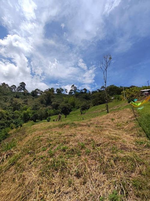 Lote en venta en Combia, Pereira, 2474 m² · foto 10 de 10