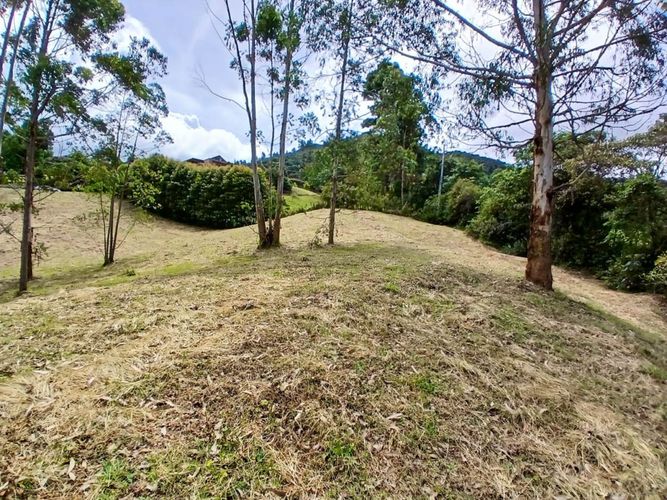 Lote en venta en La Ceja, 3932 m² · foto 3 de 15