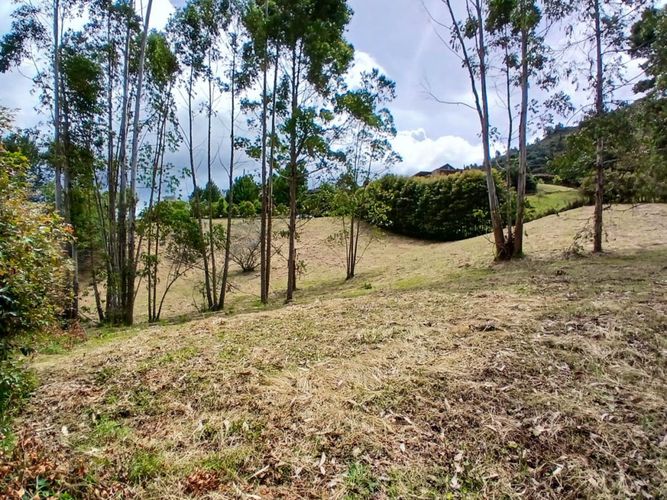 Lote en venta en La Ceja, 3932 m² · foto 4 de 15