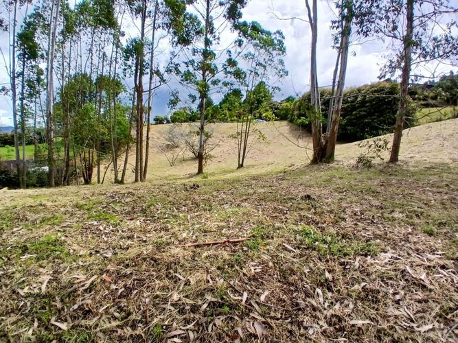 Lote en venta en La Ceja, 3932 m² · foto 6 de 15