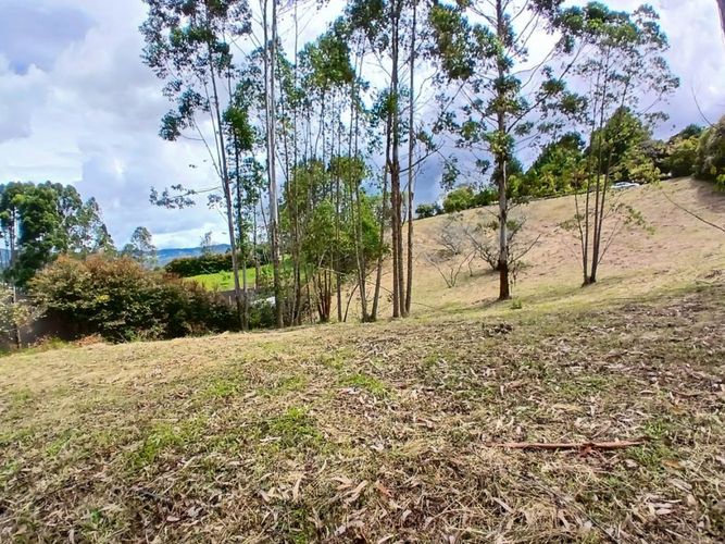 Lote en venta en La Ceja, 3932 m² · foto 7 de 15