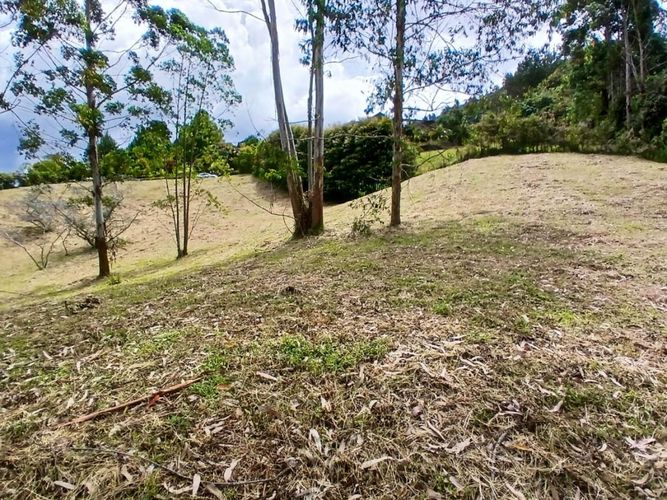 Lote en venta en La Ceja, 3932 m² · foto 8 de 15