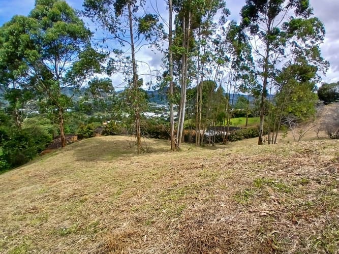 Lote en venta en La Ceja, 3932 m² · foto 9 de 15