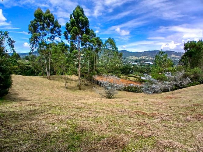 Lote en venta en La Ceja, 3932 m² · foto 14 de 15
