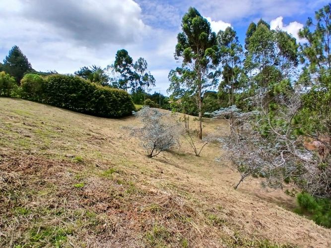 Lote en venta en La Ceja, 3932 m² · foto 15 de 15