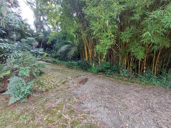 Lote en venta en Vía Las Palmas, Envigado, 200 m² · foto 2 de 21