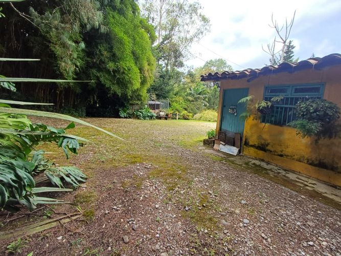 Lote en venta en Vía Las Palmas, Envigado, 200 m² · foto 3 de 21