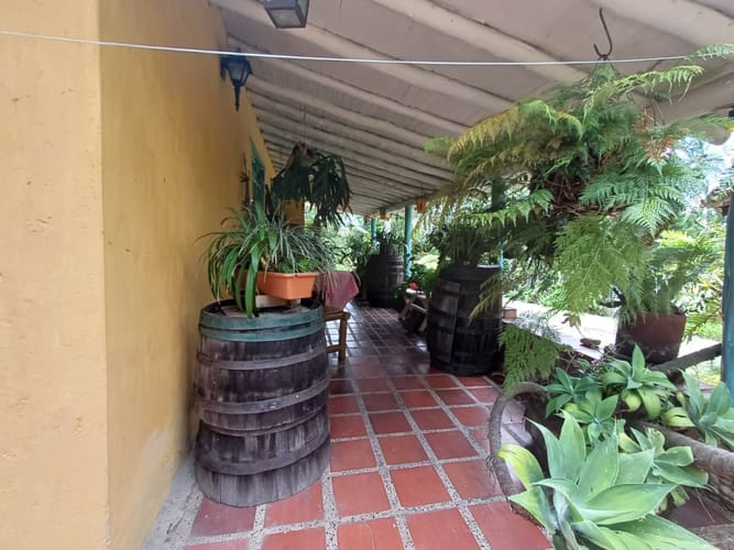 Lote en venta en Vía Las Palmas, Envigado, 200 m² · foto 5 de 21