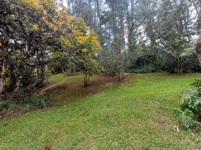 Lote en venta en Vía Las Palmas, Envigado, 200 m² · foto 11 de 21