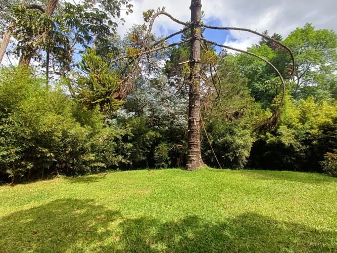 Lote en venta en Vía Las Palmas, Envigado, 200 m² · foto 14 de 21