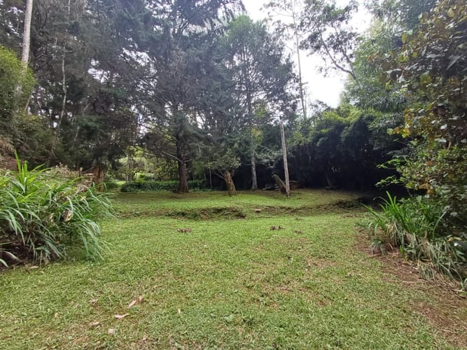 Lote en venta en Vía Las Palmas, Envigado, 200 m² · foto 15 de 21