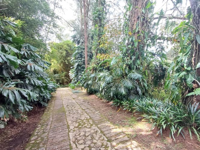 Lote en venta en Vía Las Palmas, Envigado, 200 m² · foto 21 de 21