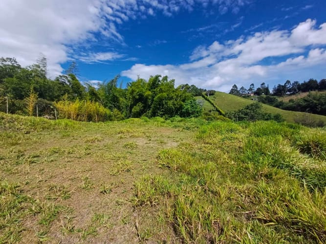 Lote en venta en Llano Grande, Rionegro, 7885 m² · foto 5 de 19