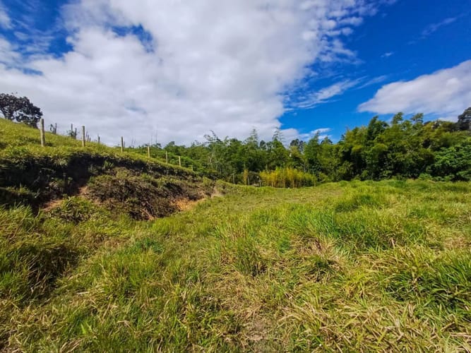 Lote en venta en Llano Grande, Rionegro, 7885 m² · foto 6 de 19