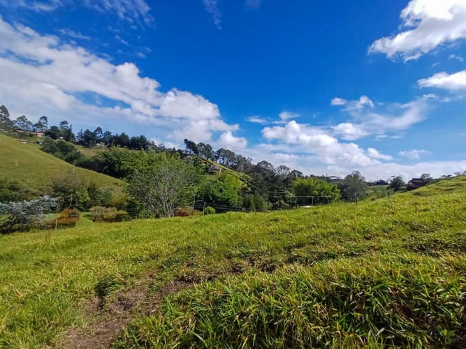 Lote en venta en Llano Grande, Rionegro, 7885 m² · foto 9 de 19