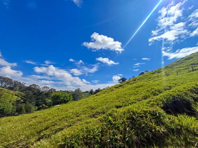 Lote en venta en Llano Grande, Rionegro, 7885 m² · foto 10 de 19