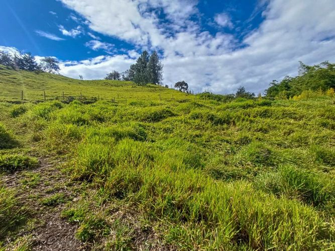 Lote en venta en Llano Grande, Rionegro, 7885 m² · foto 13 de 19