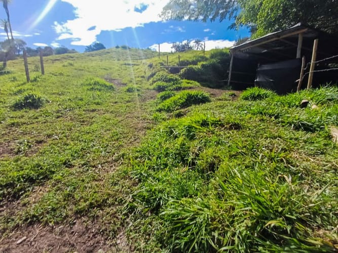 Lote en venta en Llano Grande, Rionegro, 7885 m² · foto 14 de 19