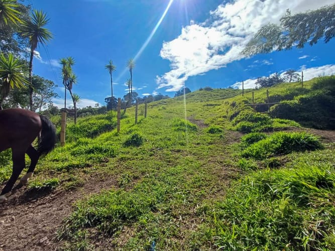 Lote en venta en Llano Grande, Rionegro, 7885 m² · foto 15 de 19