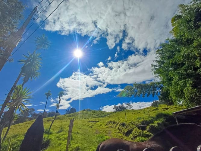 Lote en venta en Llano Grande, Rionegro, 7885 m² · foto 16 de 19