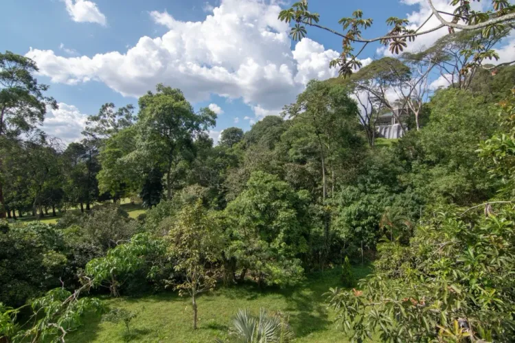 Casa de 5 alcobas en venta en San Lucas, Medellín, 350 m² · foto 2 de 22