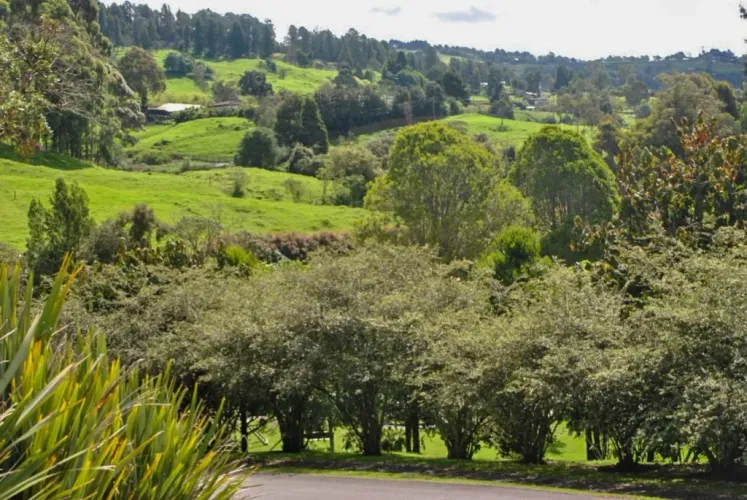 Lote en venta en El Poblado, Medellín · foto 6 de 17