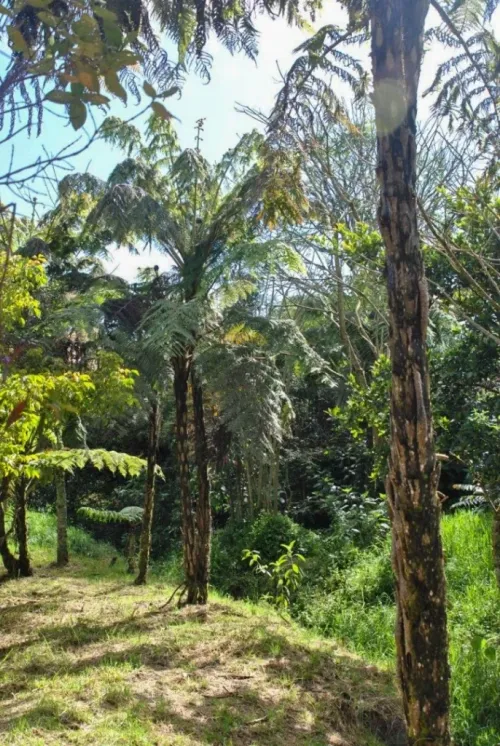 Lote en venta en El Poblado, Medellín · foto 11 de 17