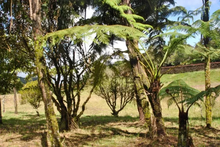 Lote en venta en El Poblado, Medellín · foto 14 de 17