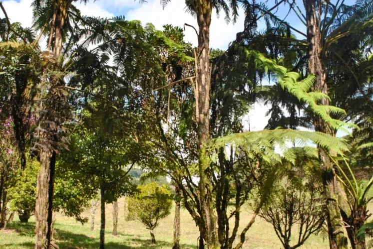Lote en venta en El Poblado, Medellín · foto 15 de 17