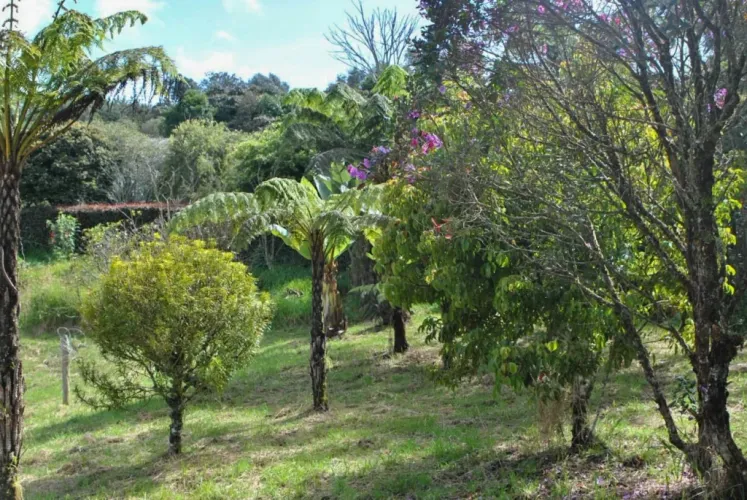 Lote en venta en El Poblado, Medellín · foto 17 de 17