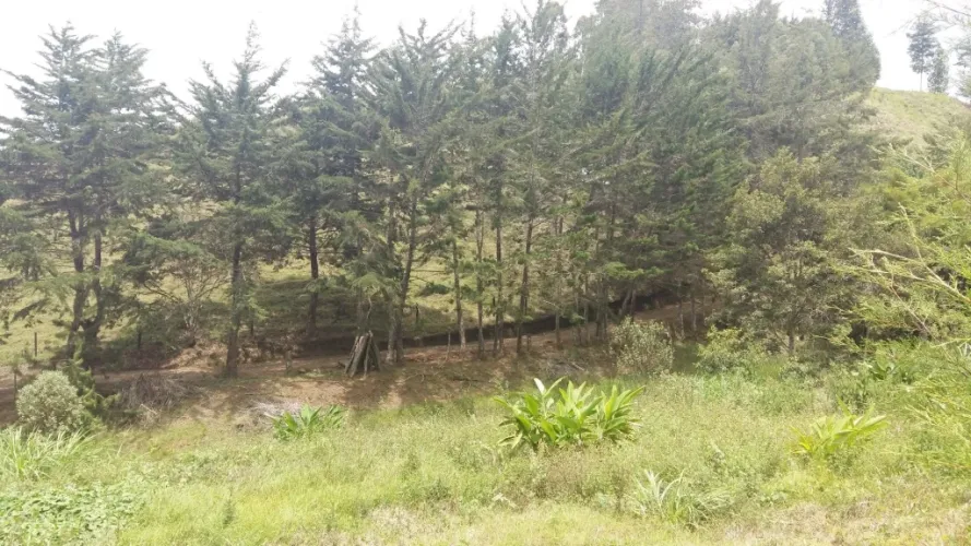 Lote en venta en San Nicolas, La Ceja · foto 3 de 10