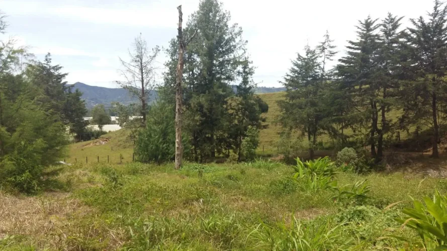 Lote en venta en San Nicolas, La Ceja · foto 4 de 10