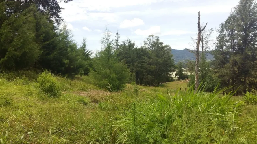 Lote en venta en San Nicolas, La Ceja · foto 5 de 10