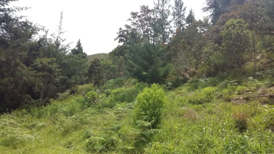 Lote en venta en San Nicolas, La Ceja · foto 6 de 10