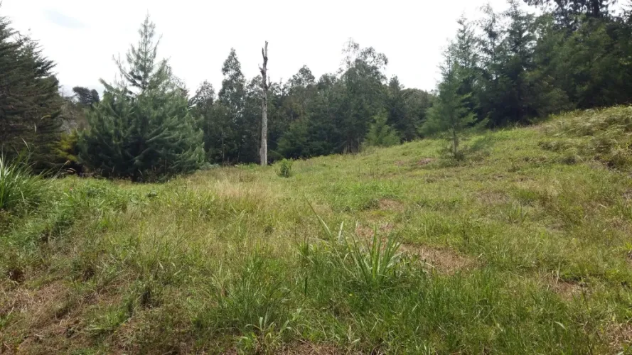 Lote en venta en San Nicolas, La Ceja · foto 7 de 10