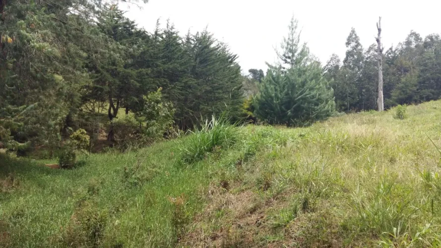 Lote en venta en San Nicolas, La Ceja · foto 8 de 10