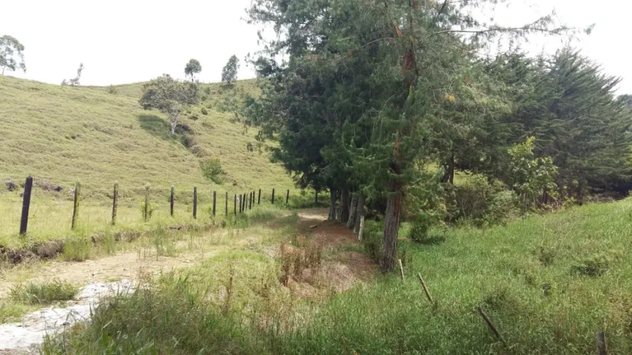 Lote en venta en San Nicolas, La Ceja · foto 9 de 10