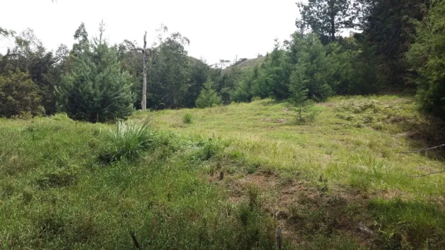 Lote en venta en San Nicolas, La Ceja · foto 10 de 10