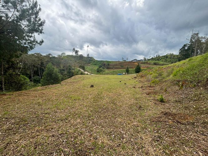 Lote en venta en El Tablazo, Rionegro, 5924 m² · foto 2 de 9