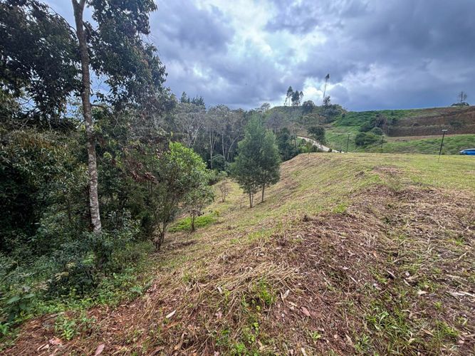 Lote en venta en El Tablazo, Rionegro, 5924 m² · foto 4 de 9