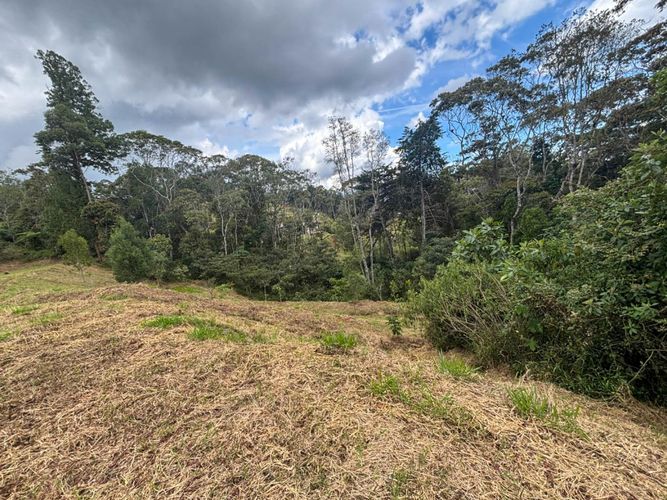 Lote en venta en El Tablazo, Rionegro, 5924 m² · foto 6 de 9