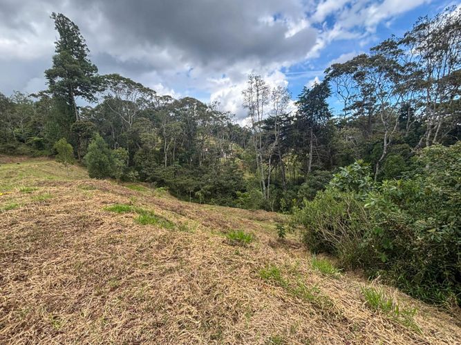 Lote en venta en El Tablazo, Rionegro, 5924 m² · foto 7 de 9