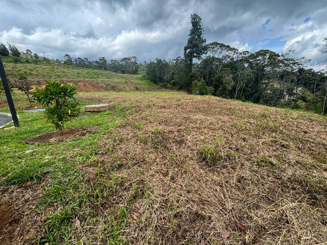 Lote en venta en El Tablazo, Rionegro, 5924 m² · foto 8 de 9
