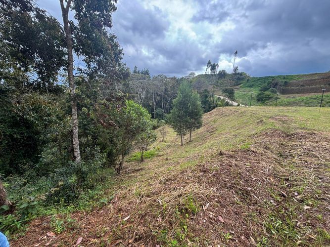 Lote en venta en El Tablazo, Rionegro, 5924 m² · foto 9 de 9