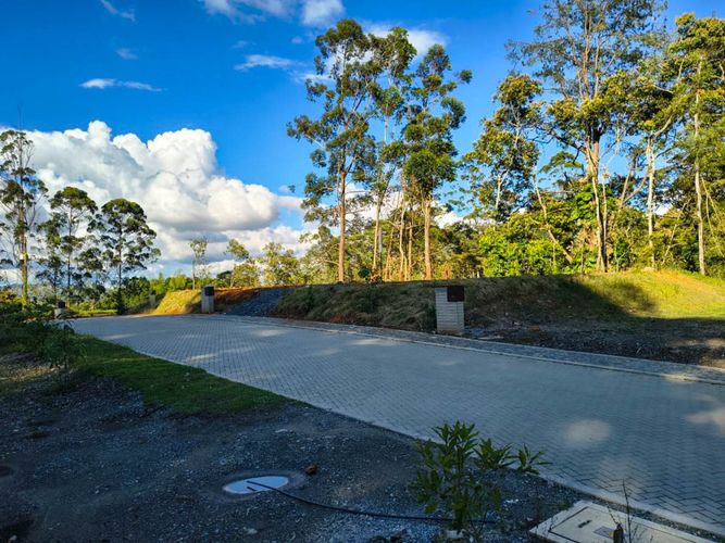 Lote en venta en Guayabito, Rionegro, 1500 m² · foto 4 de 6